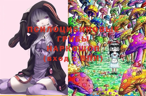 mdpv Белокуриха
