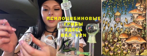 прущие грибы Белоозёрский